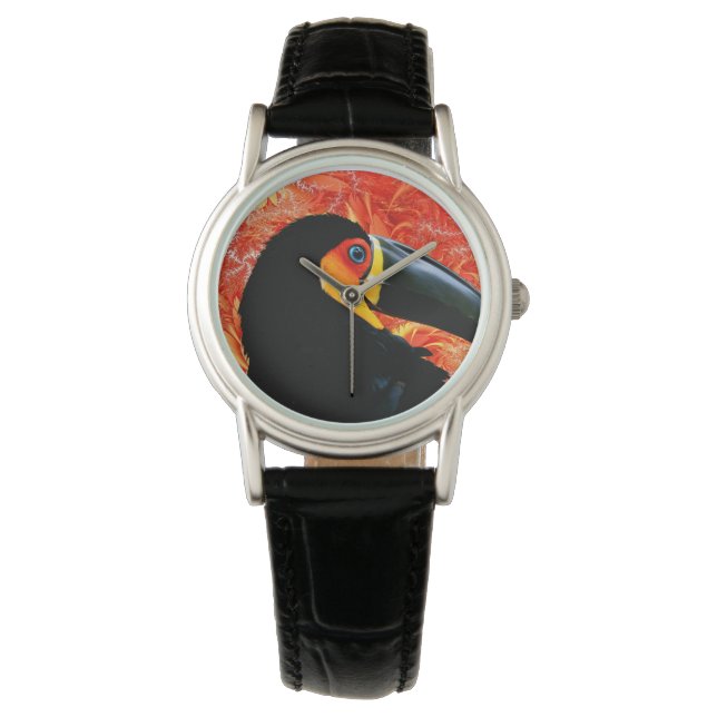Toucan 3 Watch & Numeral Options Armbandsur (Framsida)