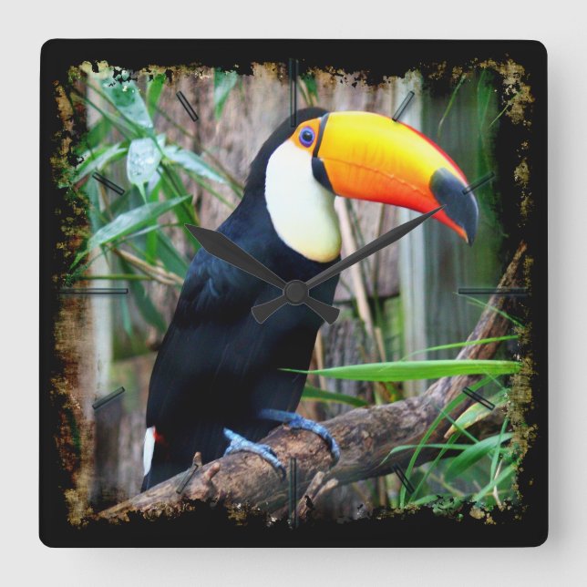 Toucan 5A Wall Clocks och numeriska alternativ Fyrkantig Klocka (Framsida)