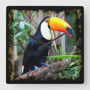 Toucan 5A Wall Clocks och numeriska alternativ Fyrkantig Klocka