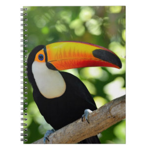 Toucan Anteckningsbok