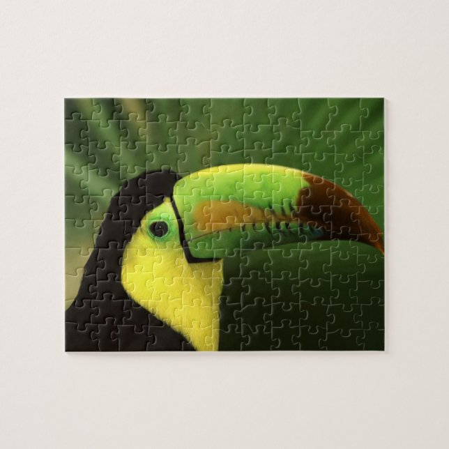 Toucan Bird Puzzle Pussel (Horisontell)