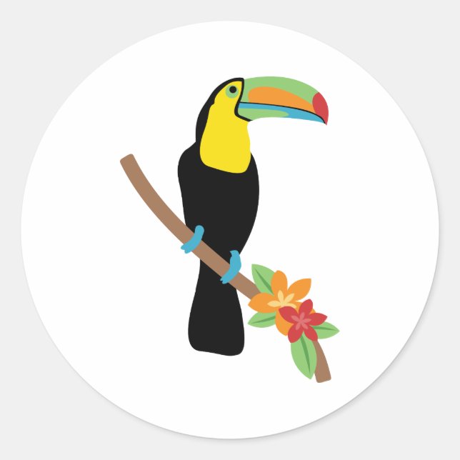 Toucan Bird Runt Klistermärke (Framsida)