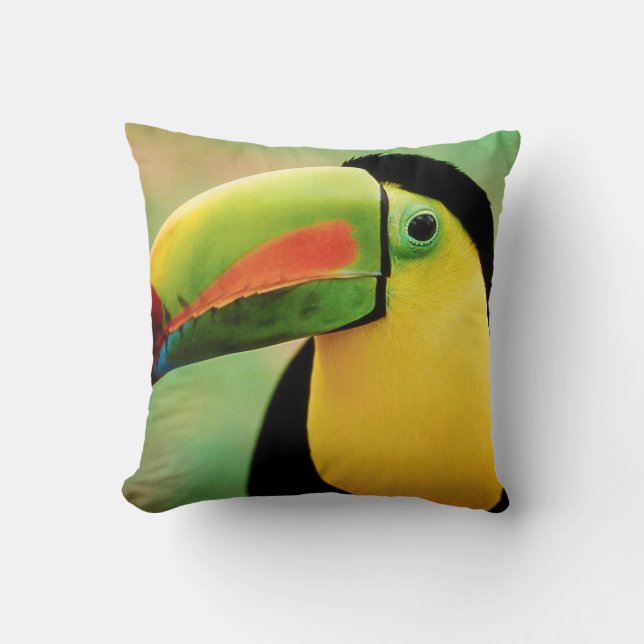 Toucan Bird Vild Nature Color Fotography Kudde (Framsida)