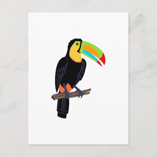 TOUCAN BIRD VYKORT (Framsida)
