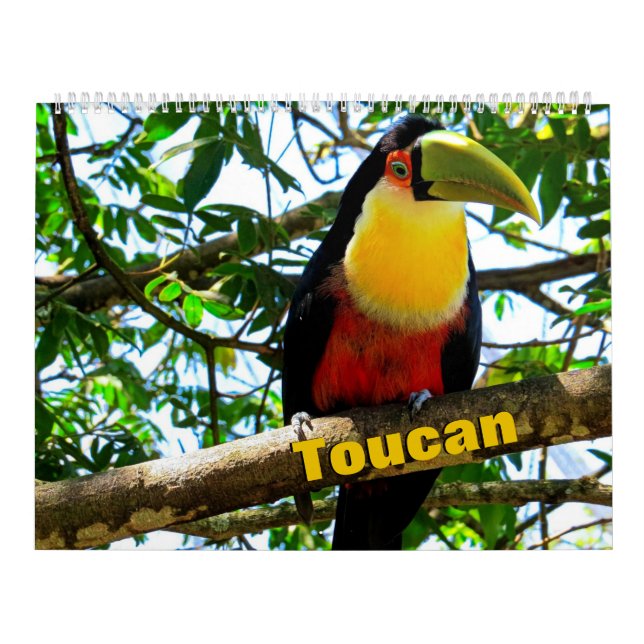 Toucan Birds Calendar Kalender (Omslag)