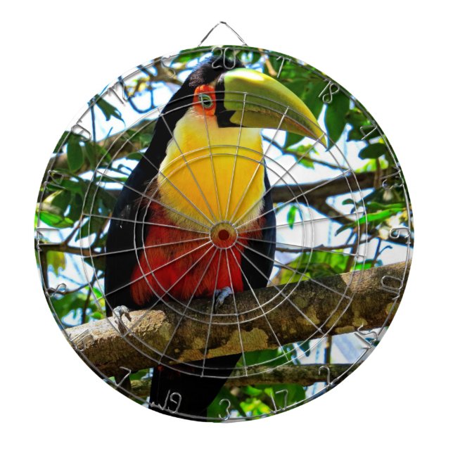 Toucan Dartboard Darttavla (Framsidan)