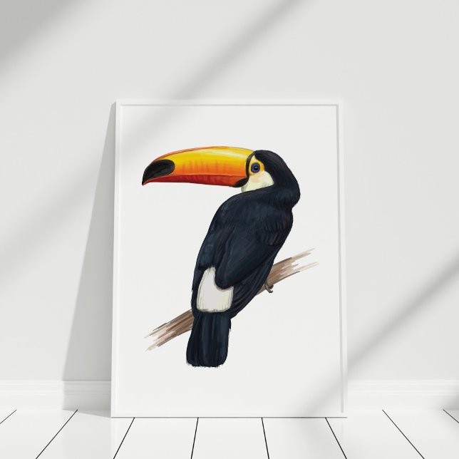 Toucan Exotic Bird Hand plockade Illustration Post Poster (Toucan Exotic Bird Hand drawn Illustration Poster in a white frame.)