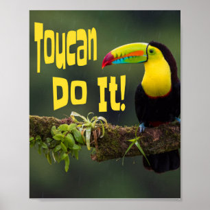 Toucan gör det! Colorful Bird Motivational Funny P Poster