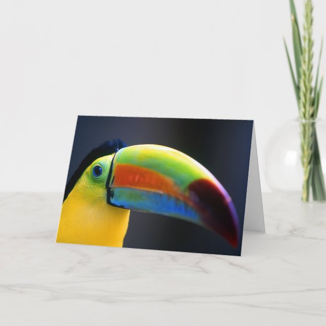 Toucan-Hälsning kort (Framsida)