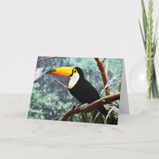 Toucan Helgkort (Framsida)