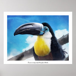 Toucan i dimmig luftaffisch poster