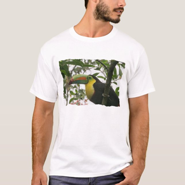 Toucan i djungeln t-shirt (Framsida)