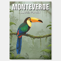 Toucan i Monteverde Cloud Forest Costa Rica