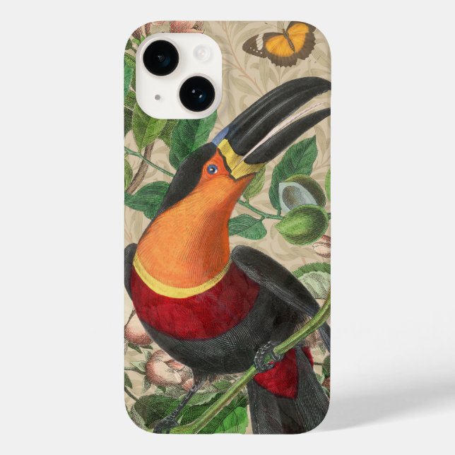 Toucan Jungle Tropical Bird BeSnyque Antique (Baksida)