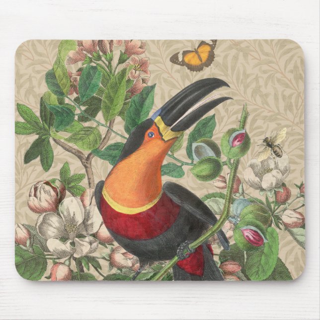 Toucan Jungle Tropical Bird BeSnyque Antique Musmatta (Framsidan)