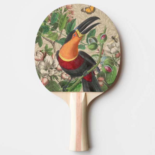 Toucan Jungle Tropical Bird BeSnyque Antique Pingisracket (Framsidan)