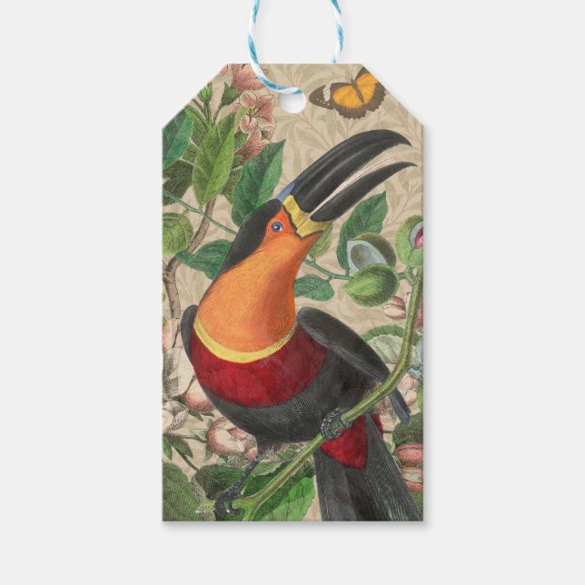 Toucan Jungle Tropical Bird BeSnyque Antique Presentetikett (Framsidan)