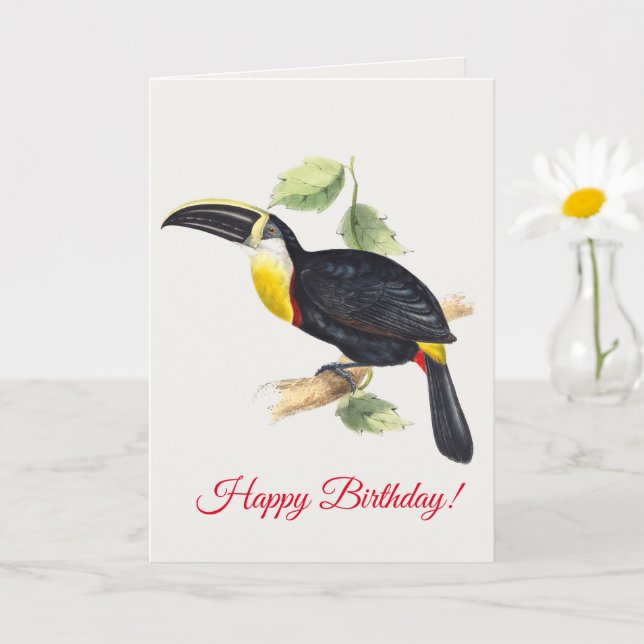 Toucan Kort (Liten växt)