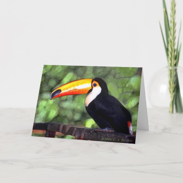 "Toucan" Kort (Framsida)