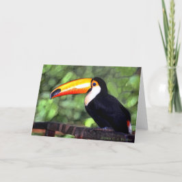 "Toucan" Kort