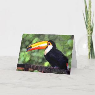 "Toucan" Kort