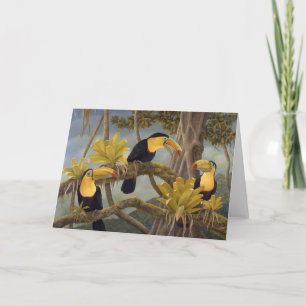 Toucan kort