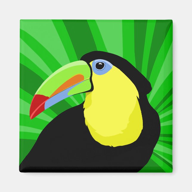 Toucan Magnets Magnet (Framsidan)