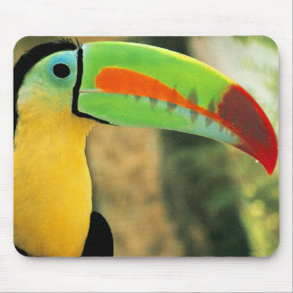 Toucan Mousepad Musmatta
