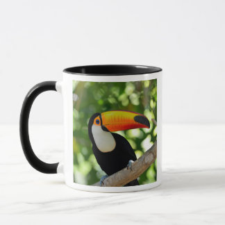 Toucan Mugg