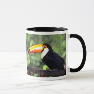 'Toucan Mugg