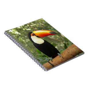 Toucan på träd gren anteckningsbok