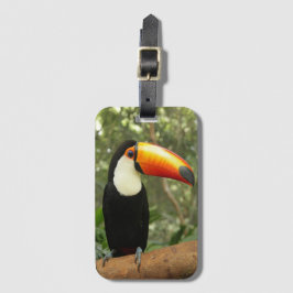 Toucan på träd gren bagagebricka