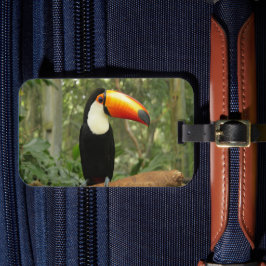 Toucan på träd gren bagagebricka