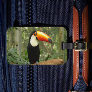 Toucan på träd gren bagagebricka
