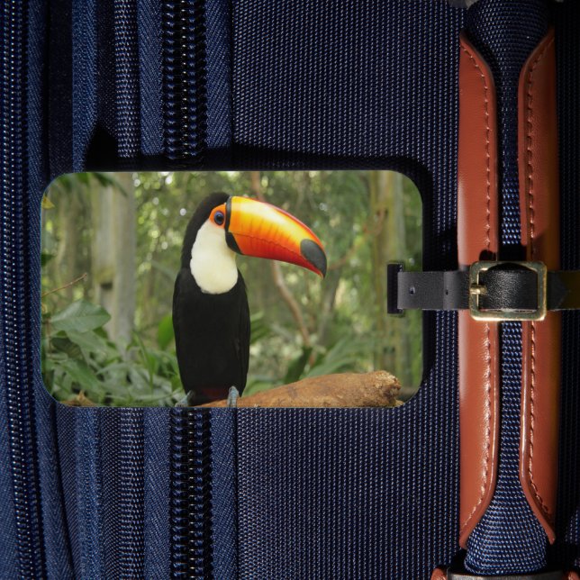 Toucan på träd gren bagagebricka (Framsida Insitu 4)