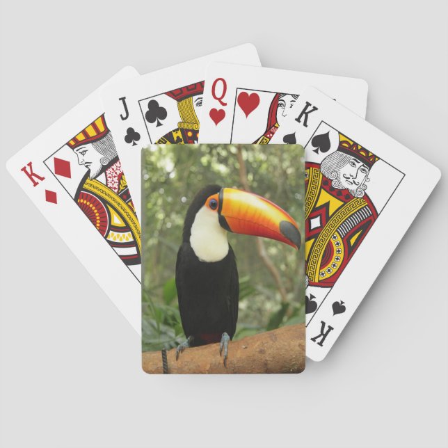 Toucan på träd gren casinokort (Baksidan)