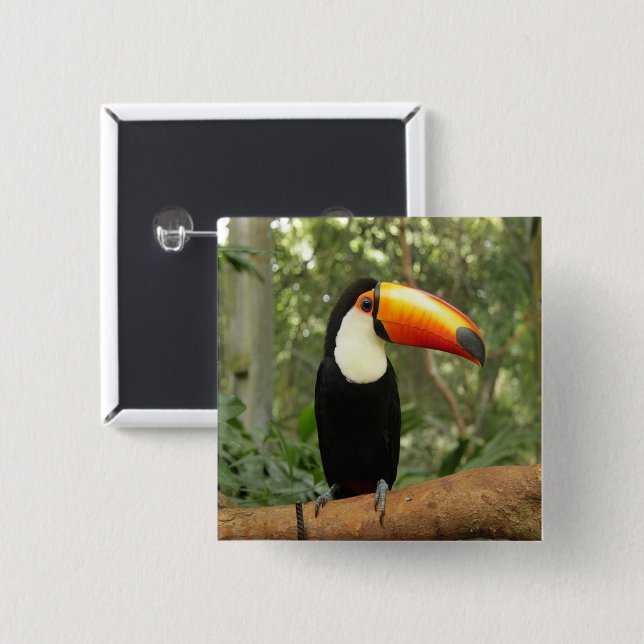 Toucan på träd gren knapp (Framsida & baksida)