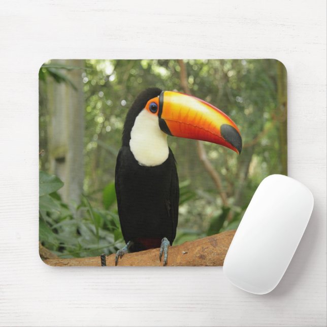 Toucan på träd gren musmatta (Med mus)