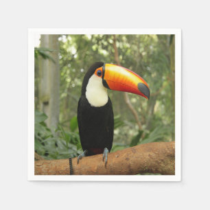 Toucan på träd gren pappersservett