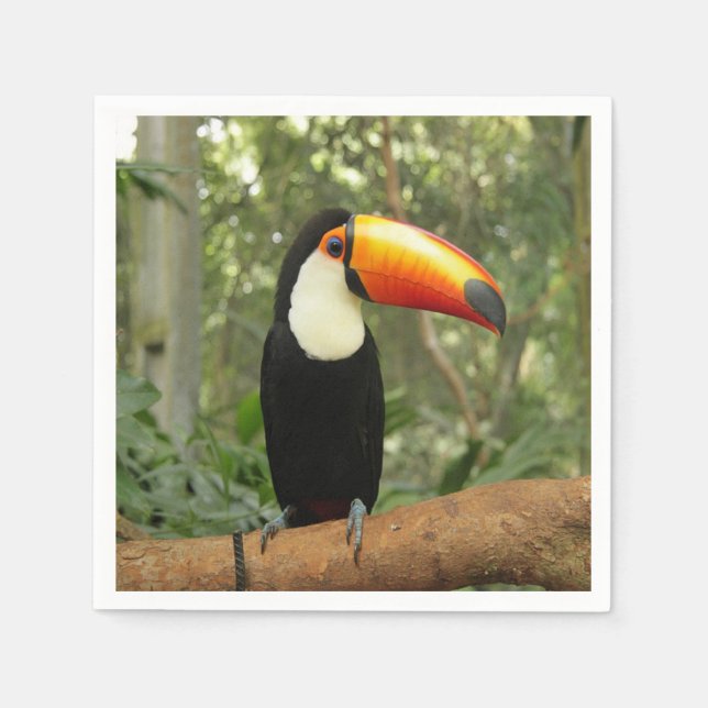 Toucan på träd gren pappersservett (Framsidan)