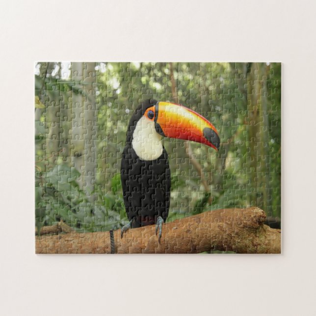 Toucan på träd gren pussel (Horisontell)