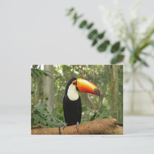 Toucan på träd gren vykort (Stående Fram)