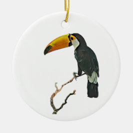 Toucan Porträtt Animal Tropical Bird Design Julgransprydnad Keramik