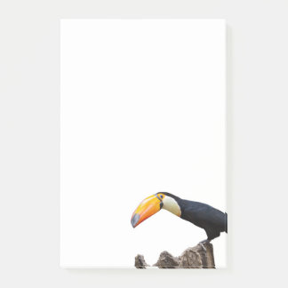 Toucan Post-it Block