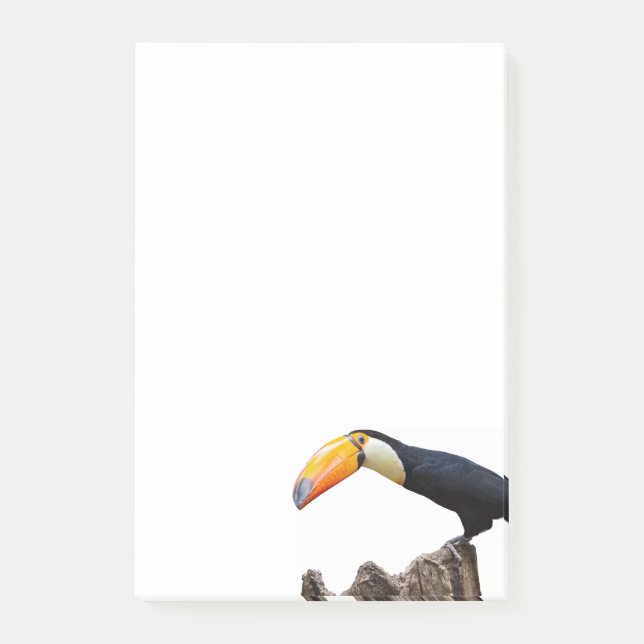 Toucan Post-it Block (Framsida)