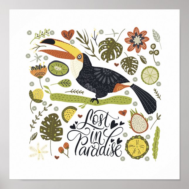 Toucan Poster: A must-have för all Toucan Älskare Poster (Framsidan)