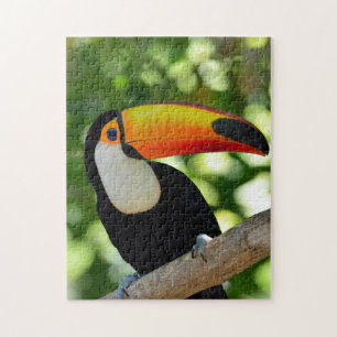 Toucan Pussel