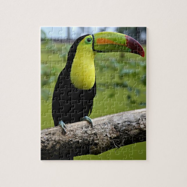 TOUCAN-pussel Pussel (Vertikal)