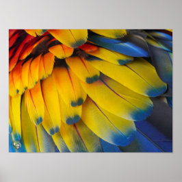 Toucan Rädding Ranch - Scarlet Macaw Poster