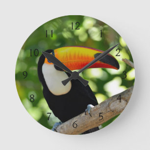 Toucan Rund Klocka